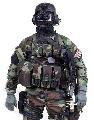 Usss-Usmc/President special rescue team/Elnki mentegysg